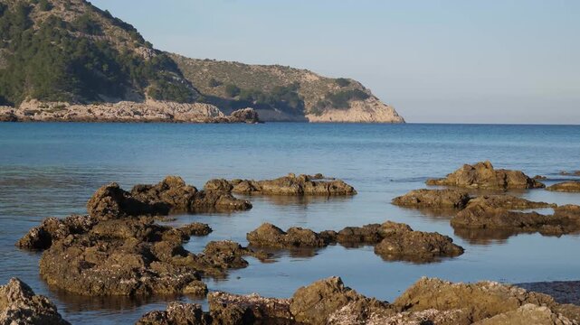 Rocky coastline in Spring