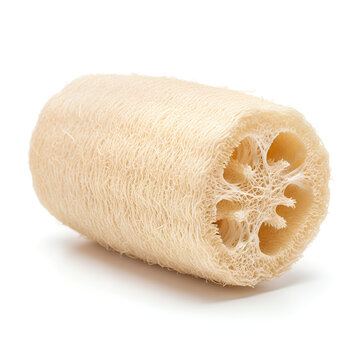 Closeup of a natural loofah sponge for skincare and exfoliation 1.