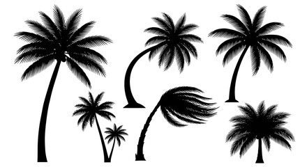 Obraz premium Tropical Palm Tree Silhouettes Collection