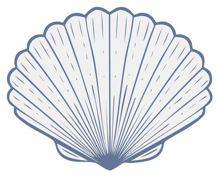Scallop shell illustration with radiating lines and scalloped edges in blue and white.