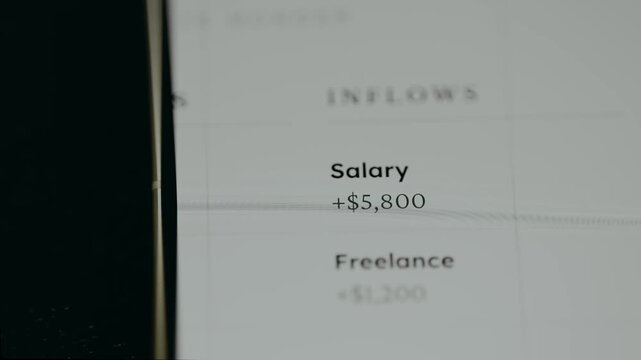 Financial tracking app overview of cash inflows and outflows
