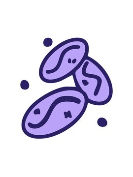 jiggle and pause animation of three brazilian coffee beans together drawing