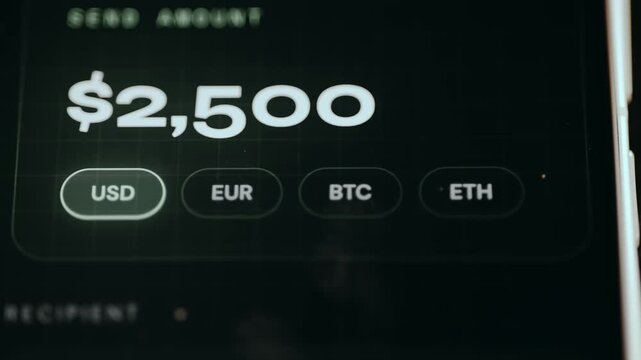 Banking app interface allowing users to switch between different payment methods or currencies