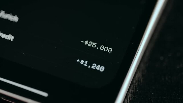 Close-up of cash flow displayed in a money tracking app