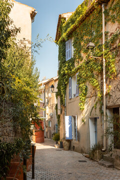 Ruelle ensoleill&eacute;e d&rsquo;un village typique du sud de la France, pav&eacute;s au sol et maisons anciennes, volets bleus en bois, lierre grimpant sur le mur de fa&ccedil;ade, ambiance d'&eacute;t&eacute;, La Cadi&egrave;re d&rsquo;Azur