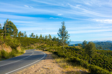 Naklejka premium Country road in the mountains and forest.
