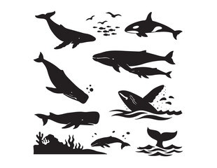 Oceanic whale and marine life vector collection, diverse black silhouette set of sea creatures, underwater animals, and aquatic mammals for nature designs © Prodeep