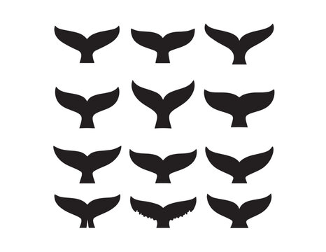 Whale Tail Vector Set, 12 Black Marine Animal Fins, Ocean Mammal Flukes, Aquatic Life Silhouette Collection for Design
