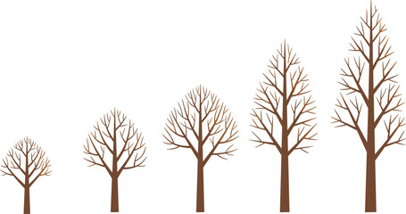 Fototapeta premium Set of Five Bare Deciduous Trees in Various Sizes and Shapes with Brown Branches and Trunks Isolated on White Background for Winter Nature Design