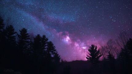 Fototapeta premium Vibrant Galaxy Milky Way Arching Over Dark Forest Silhouette Under Starry Night Sky