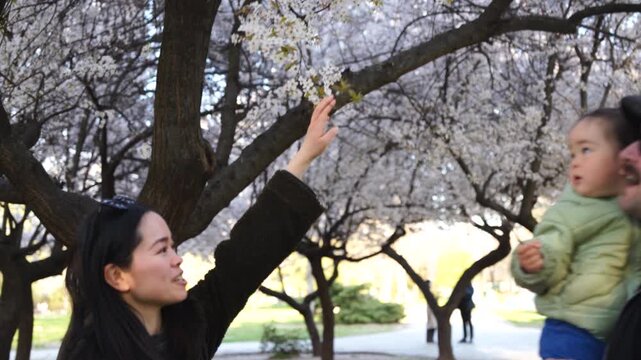 Young hipster multhy ethnic family in the park in springtime kissing under the blossoming tree