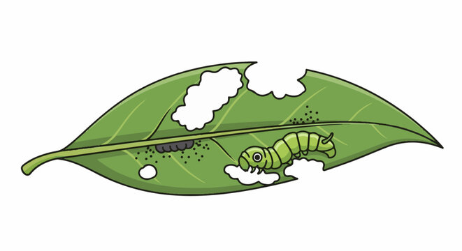 A green caterpillar crawls across a leaf with bite marks
