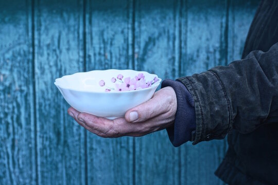 one hand in black clothes holding an empty white ceramic plate against a green wall