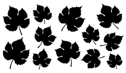 Fototapeta premium Hand drawn grape leaf silhouette icons set vector collection natural botanical style