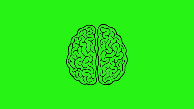 Human brain hand drawn icon animated on green screen background for overlay and motion graphics use