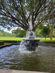 Fototapeta premium Classic Tiered Water Fountain in a Public Park