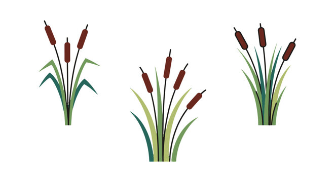 Lake Reeds Line art vector modern color pattern illustration