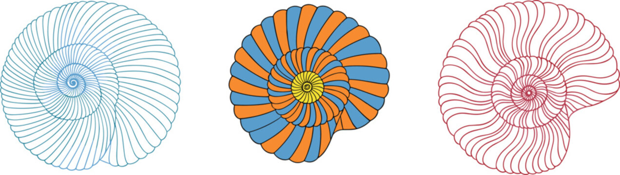 Abstract Spiral Shell Illustrations with Vibrant Colors and Geometric Patterns Isolated on White Background for Ocean, Nature, and Decorative Designs
