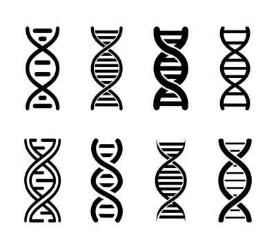 black and white dna helix icon set for science design