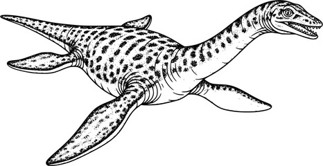 elasmosaurus vector art © foggy