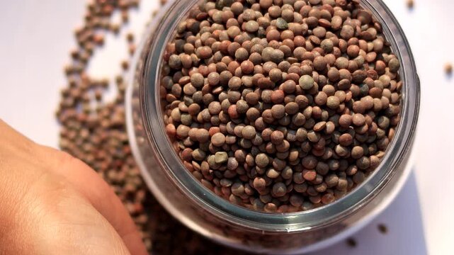 Black Lentil/ masoor dal filled in glass bowl table top spin isolated on white background.