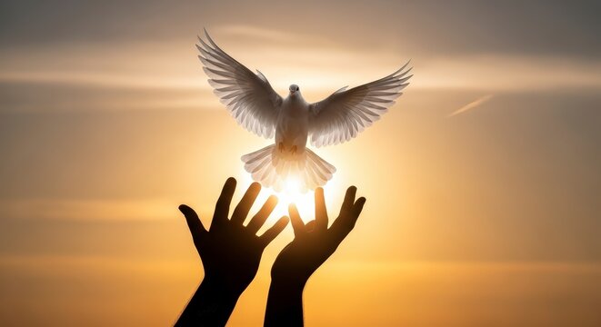 Hands releasing a dove into sunrise.