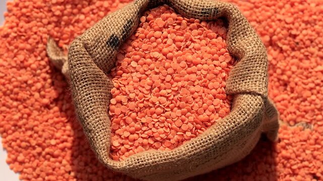 Red Lentil/ masoor dal filled in jute sack table top spin isolated on white background.
