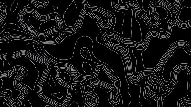 Animated white wavy line motion graphic background. Topographic map contour animation. Seamless looped