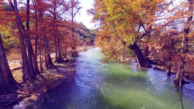 Cinematic aerial view of turquoise river flowing through autumn forest with cypress trees and colorful foliage