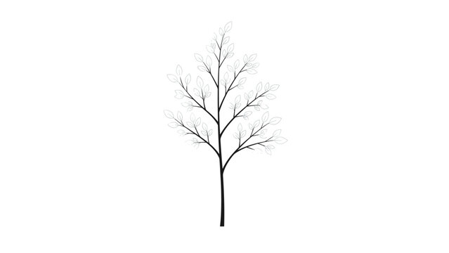 Delicate black and white line drawing of a small young tree or branch featuring many tiny detailed leaves for nature illustrations.
