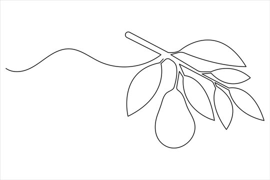 Avocado continuous one line drawing with fruit and leaf in minimalist outline vector style