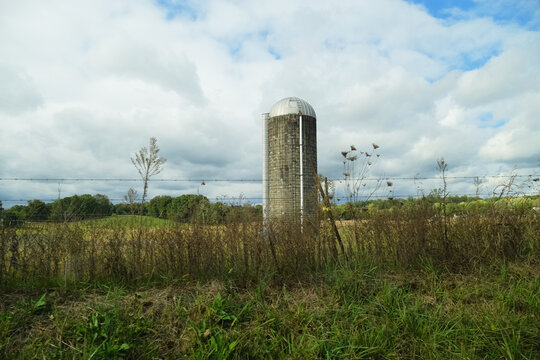 Kentucky rural landscape with farm field and silo in field.