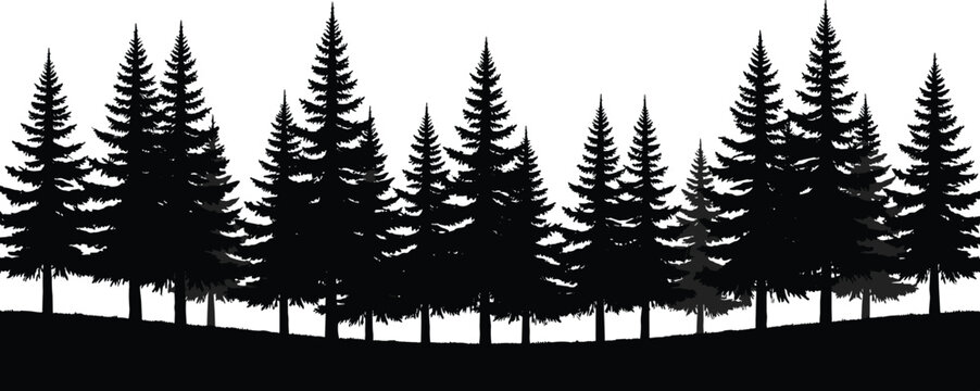 Pine forest silhouette landscape with evergreen trees nature woodland black vector illustration isolated scenic horizon design outdoor background