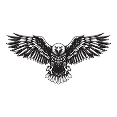Fototapeta premium Black and white eagle, flying bird, wildlife illustration, vector graphic