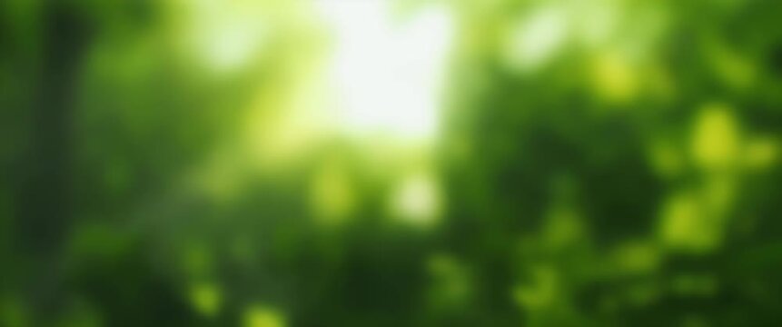 Lush greenery sways gently as soft light flickers in the background, captured in a slow cinematic pan, creating a serene nature-inspired abstract video perfect for creative projects.