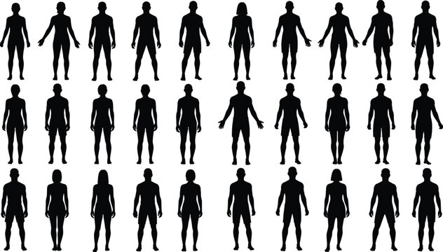 human silhouettes collection, male female body shapes, diverse standing poses, black shadow figures, anatomy reference set, vector illustration, isolated people design
