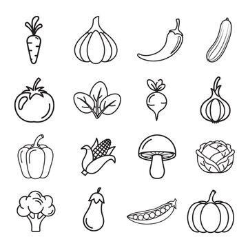 Hand Drawn Vegetable Icon Set Line Art Minimal Outline Collection Fresh Food Veggies Carrot Garlic Chili Cucumber Tomato Spinach Radish Onion Pepper Corn Mushroom Cabbage Broccoli Eggplant Peas Pumpki