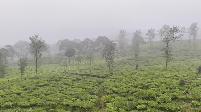 Very beutiful mountain views	