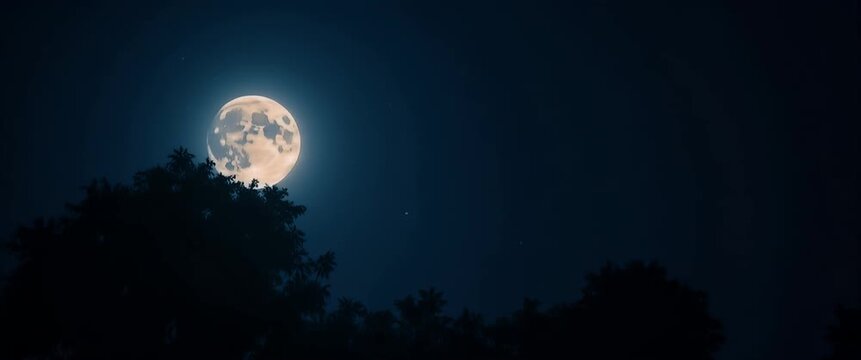 Majestic full moon rises over silhouetted treetops as gentle night breeze sways leaves; camera pans slowly across the starry sky in a serene, cinematic nightscape.