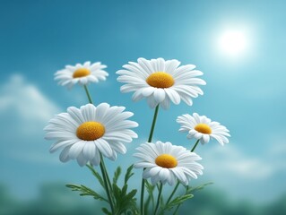 Obraz premium Bright and Cheerful White Daisies in Full Bloom Against a Clear Blue Sky with Sunlight Enhancing Their Beauty