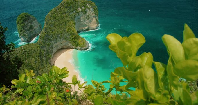 Green leaves frame a scenic view of Kelingking Beach shore on Nusa Penida Bali