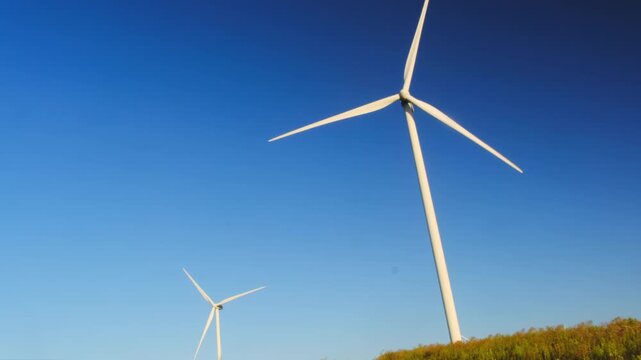 Wind generators rotate to produce power against clear blue sky. Windmill farm equipment works at morning countryside low angle shot