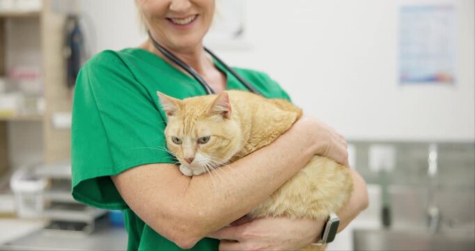 Vet, doctor or cat with hug for healthcare, medical assessment or health check up for veterinary with smile. Pet, woman or consultation for wellness, disease or vaccine at hospital or clinic for care