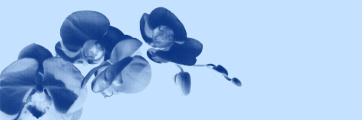 Blue cyanotype orchid botanical background. Stipple dot overlay texture with flower and twig silhouette. Delicate indigo blue nature banner for template and graphic design project. © gorozhinak