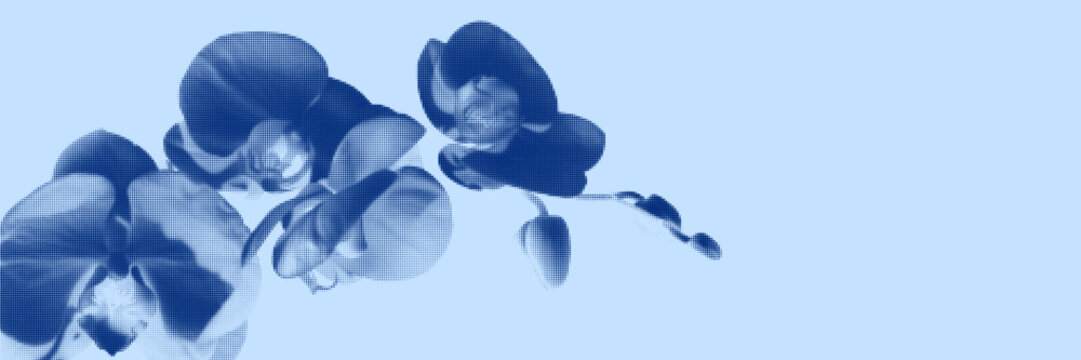 Blue cyanotype orchid botanical background. Stipple dot overlay texture with flower and twig silhouette. Delicate indigo blue nature banner for template and graphic design project.