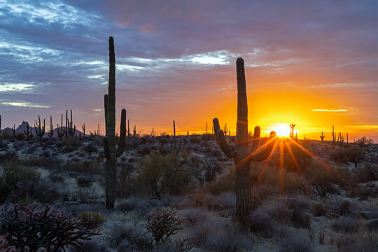 Setting Sun In The Desert Hills Near Scottsdale Arizona