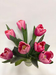 Obraz premium Pink tulips bouquet