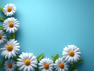 Fototapeta premium Fresh and Bright White Daisies on Blue Background Creating a Cheerful and Vibrant Floral Decoration