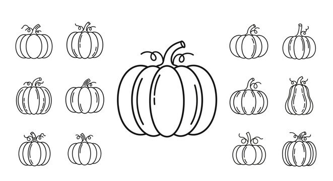 Black line drawing of pumpkins.