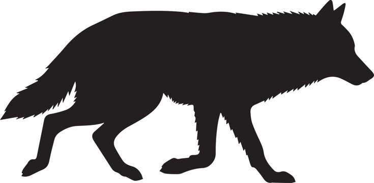 Black wolf silhouette walking isolated on transparent background